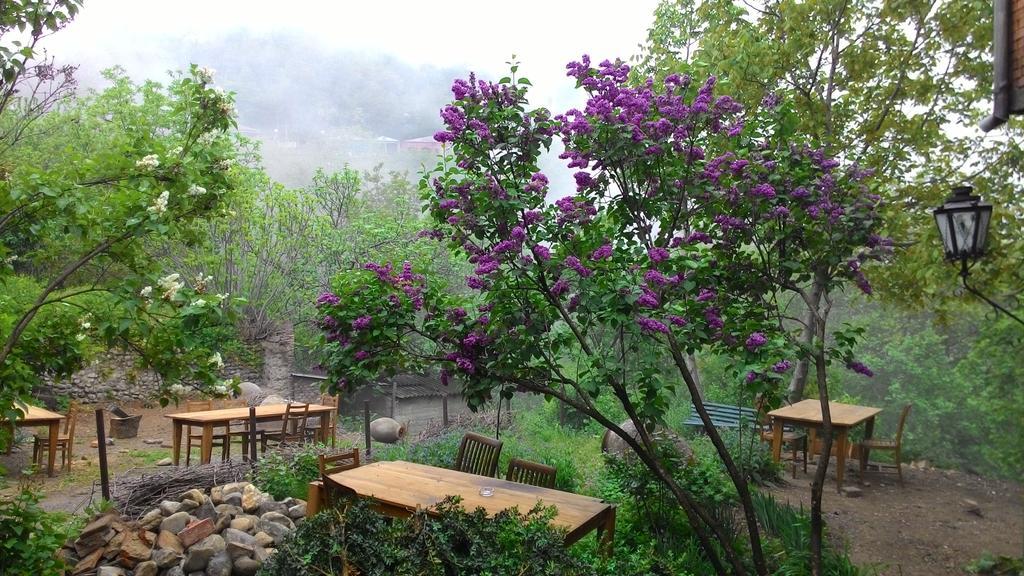 Guest House Marani Sighnaghi Exterior photo